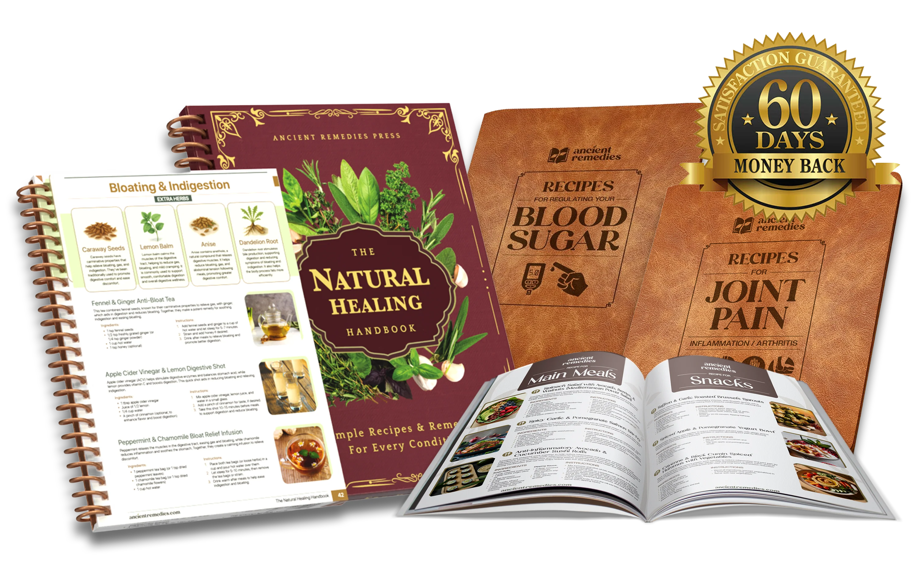 Healthy Aging Books